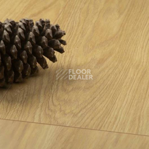 Kronopol Aurum Fiori Aqua Zero d4588 Дуб Sunflower фото 2 | FLOORDEALER